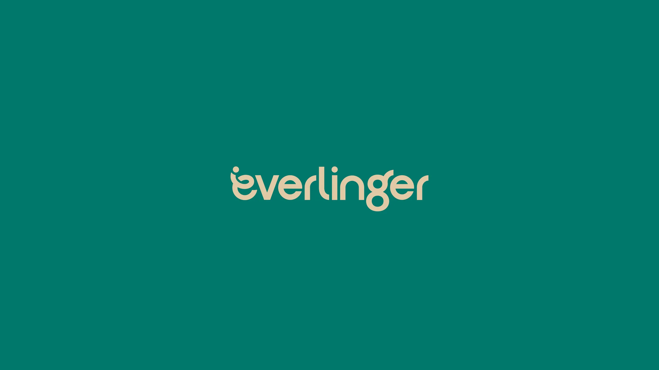 Everlinger brand identity 7